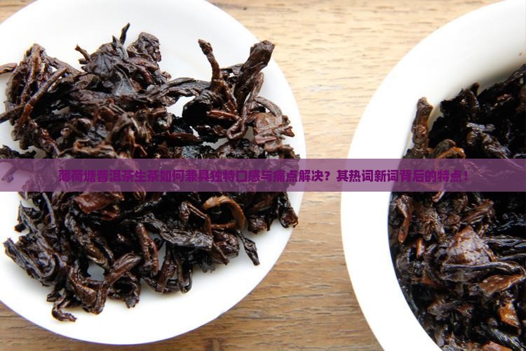 薄荷塘普洱茶生茶如何兼具独特口感与痛点解决？其热词新词背后的特点！