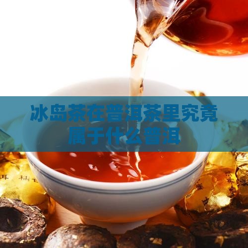 冰岛茶在普洱茶里究竟属于什么普洱