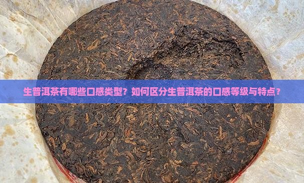 生普洱茶有哪些口感类型？如何区分生普洱茶的口感等级与特点？