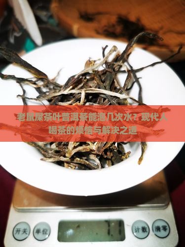 老鼠屎茶叶普洱茶能泡几次水？现代人喝茶的烦恼与解决之道