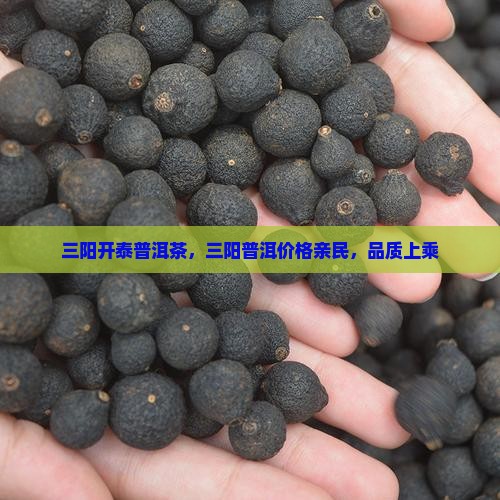 三阳开泰普洱茶，三阳普洱价格亲民，品质上乘