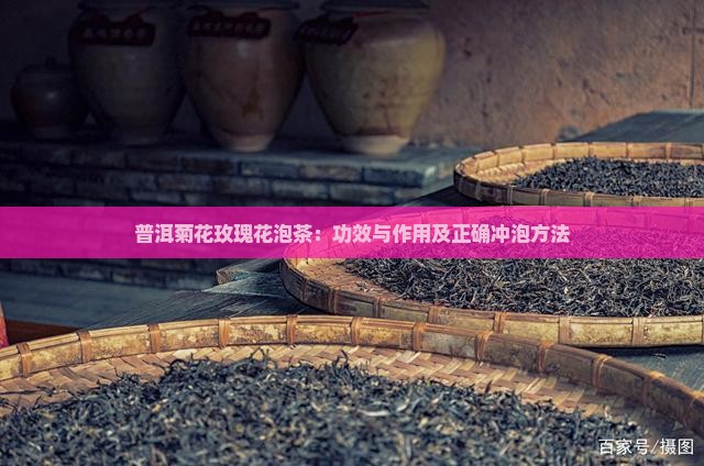 普洱菊花玫瑰花泡茶：功效与作用及正确冲泡方法