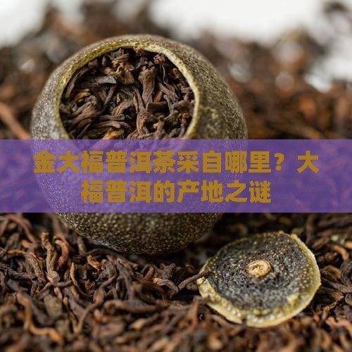 金大福普洱茶采自哪里？大福普洱的产地之谜