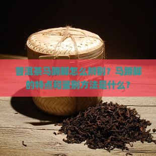 普洱茶马蹄脚怎么辨别？马蹄脚的特点和鉴别方法是什么？