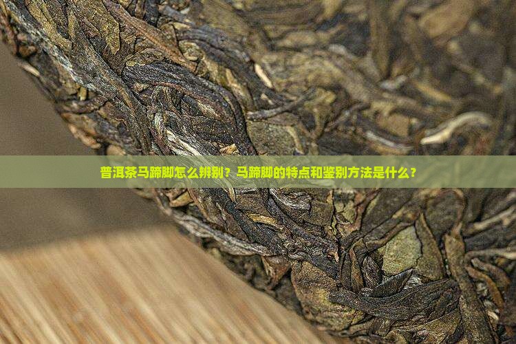 普洱茶马蹄脚怎么辨别？马蹄脚的特点和鉴别方法是什么？