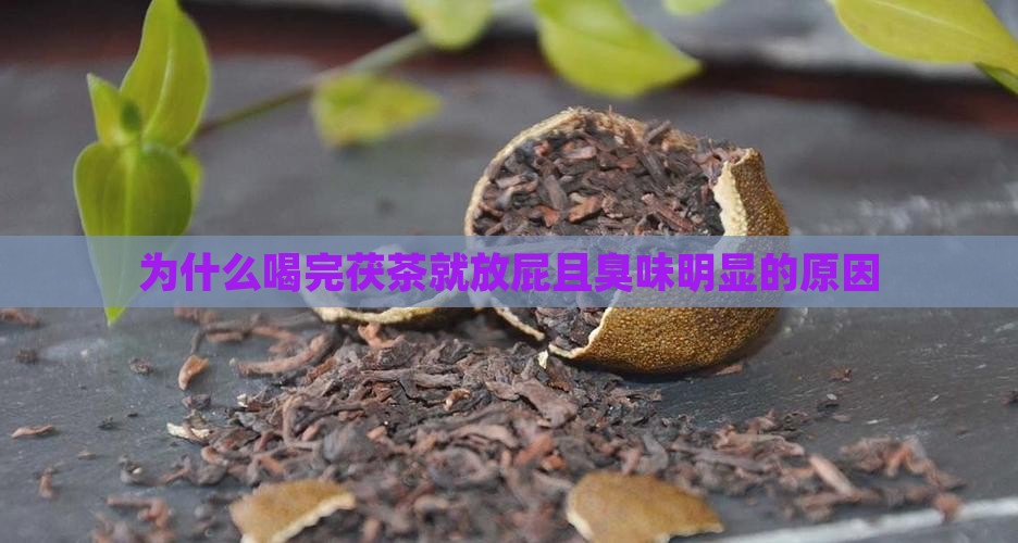为什么喝完茯茶就放屁且臭味明显的原因