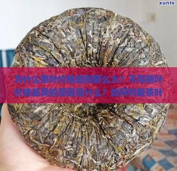 为什么茶叶价格差别那么大？不同茶叶价格差异的原因是什么？如何判断茶叶价格是否合理？