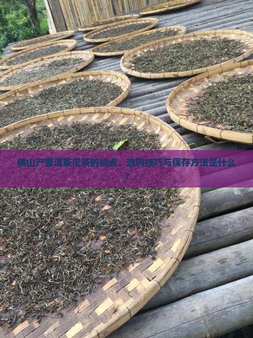佛山产普洱茶沱茶的特点、选购技巧与保存方法是什么？