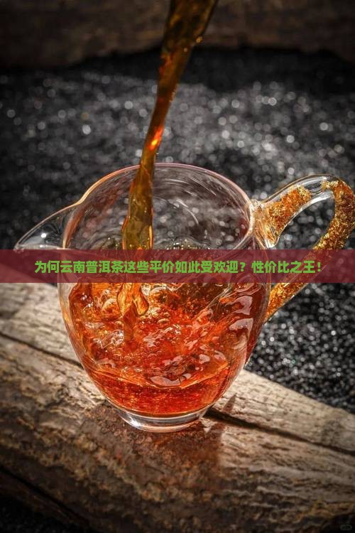 为何云南普洱茶这些平价如此受欢迎？性价比之王！