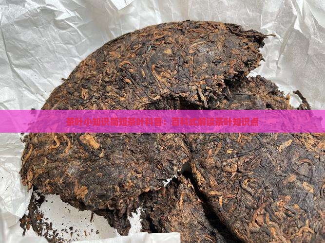 茶叶小知识简短茶叶科普：百科式解读茶叶知识点