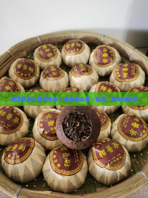 普洱茶怎么保存生茶？老茶鬼必看：防潮、防串味诀窍