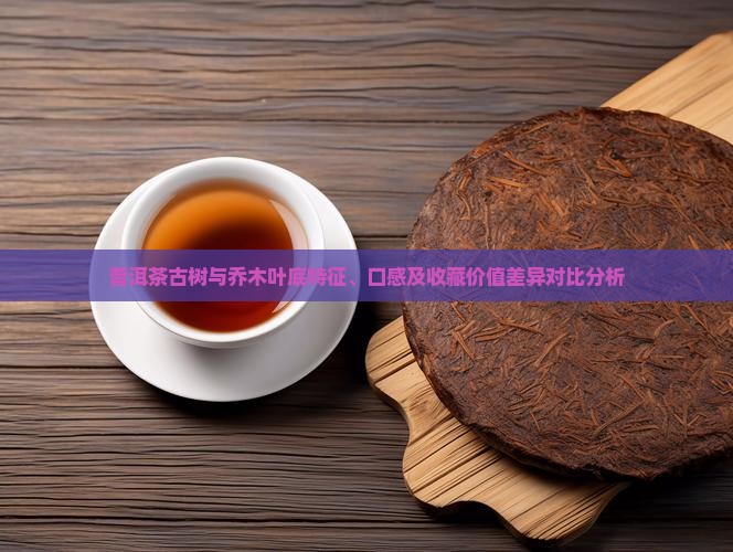 普洱茶古树与乔木叶底特征、口感及收藏价值差异对比分析
