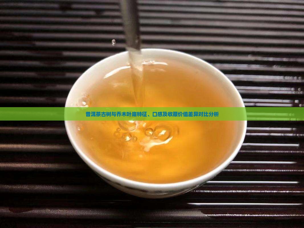 普洱茶古树与乔木叶底特征、口感及收藏价值差异对比分析