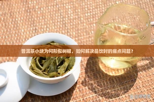 普洱茶小块为何形似树根，如何解决品饮时的痛点问题？