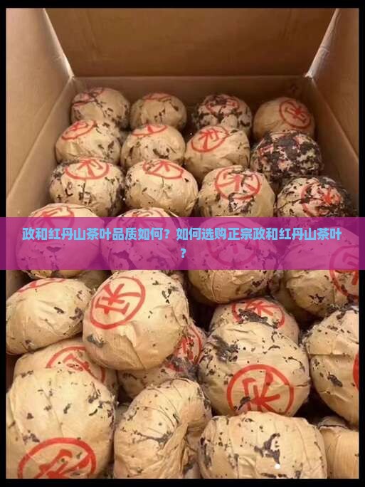 政和红丹山茶叶品质如何？如何选购正宗政和红丹山茶叶？