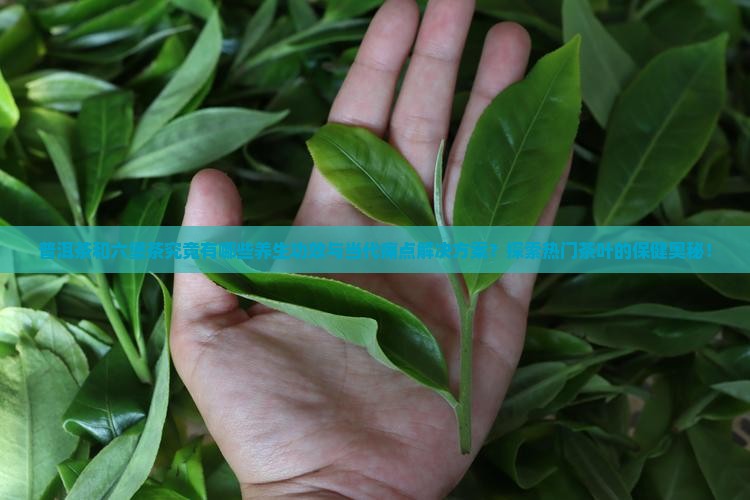 普洱茶和六堡茶究竟有哪些养生功效与当代痛点解决方案？探索热门茶叶的保健奥秘！