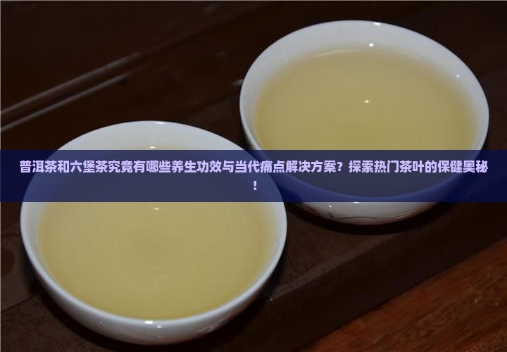 普洱茶和六堡茶究竟有哪些养生功效与当代痛点解决方案？探索热门茶叶的保健奥秘！
