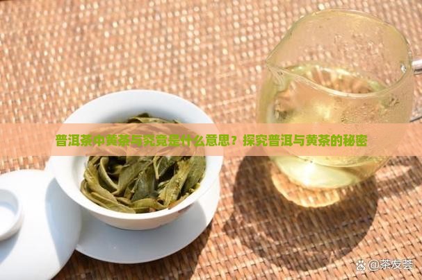 普洱茶中黄茶与究竟是什么意思？探究普洱与黄茶的秘密