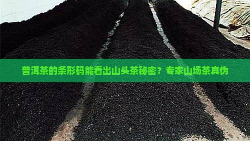 普洱茶的条形码能看出山头茶秘密？专家山场茶真伪