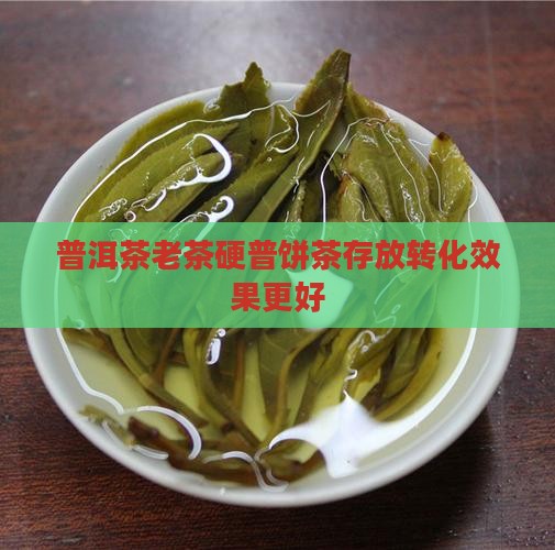 普洱茶老茶硬普饼茶存放转化效果更好