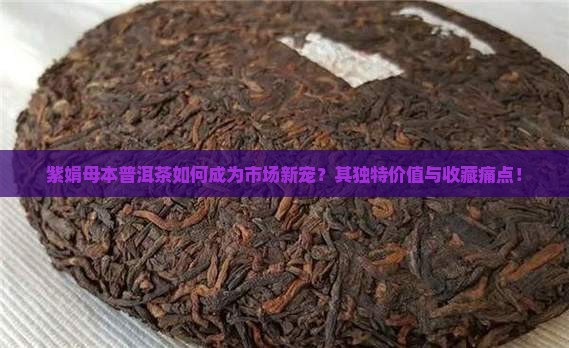 紫娟母本普洱茶如何成为市场新宠？其独特价值与收藏痛点！