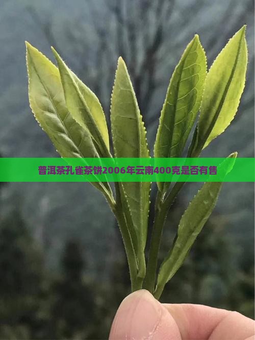 普洱茶孔雀茶饼2006年云南400克是否有售