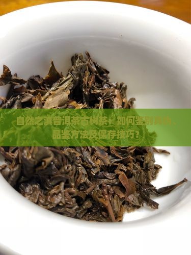 自然之滇普洱茶古树茶：如何鉴别真伪、品鉴方法及保存技巧？