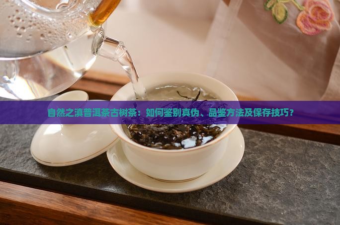 自然之滇普洱茶古树茶：如何鉴别真伪、品鉴方法及保存技巧？