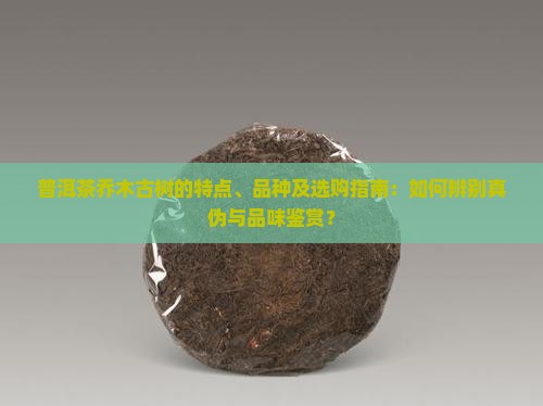 普洱茶乔木古树的特点、品种及选购指南：如何辨别真伪与品味鉴赏？