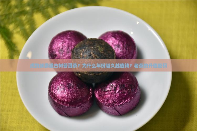 虎跳峡霸道古树普洱茶？为什么年份越久越值钱？老茶的升值密码