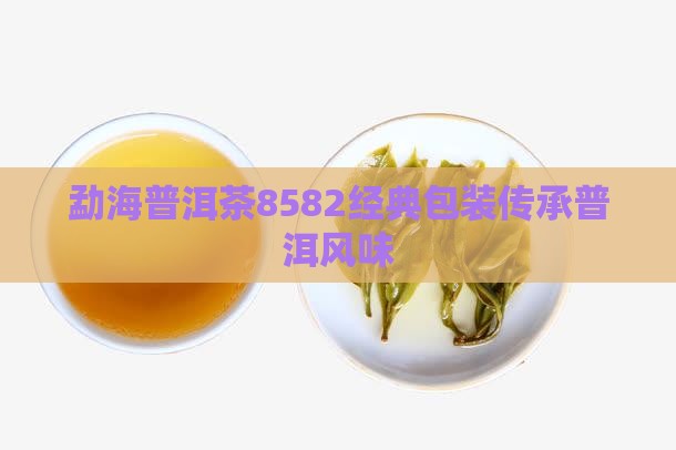勐海普洱茶8582经典包装传承普洱风味