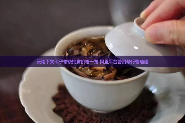 云南下关七子饼茶批发价格一览 阿里平台普洱茶行情速递