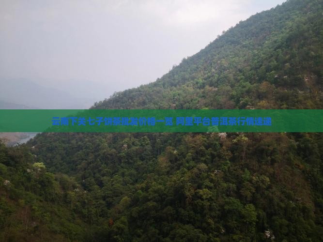 云南下关七子饼茶批发价格一览 阿里平台普洱茶行情速递