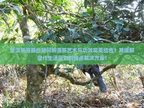 普洱茶泡茶台如何将泡茶艺术与功效完美结合？其缓解现代生活压力的痛点解决方案！