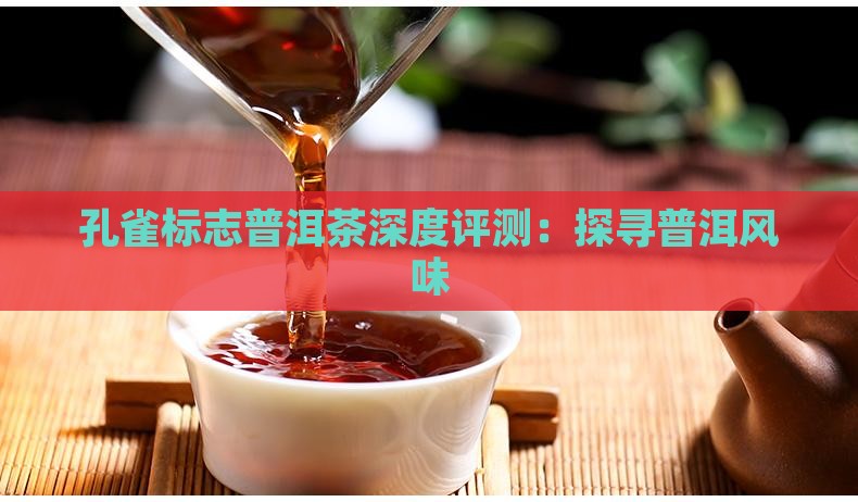孔雀标志普洱茶深度评测：探寻普洱风味