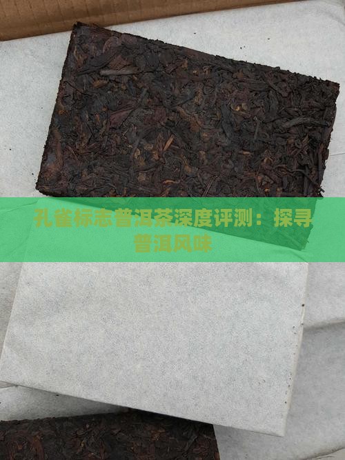 孔雀标志普洱茶深度评测：探寻普洱风味