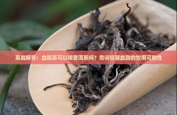 高能解答：血脂高可以喝普洱茶吗？告诉你降血脂的饮用可能性