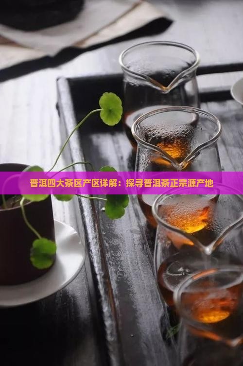 普洱四大茶区产区详解：探寻普洱茶正宗源产地