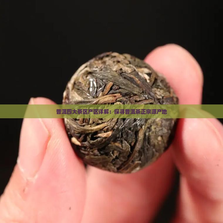 普洱四大茶区产区详解：探寻普洱茶正宗源产地