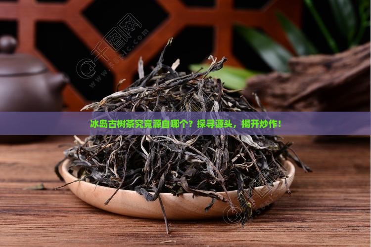 冰岛古树茶究竟源自哪个？探寻源头，揭开炒作！