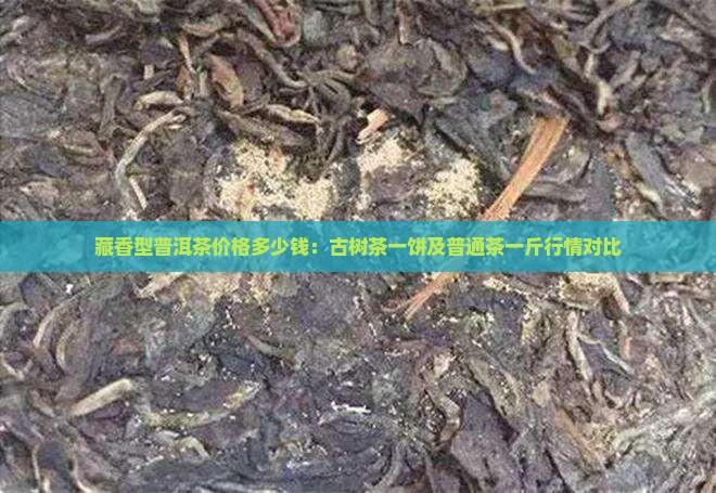 藏香型普洱茶价格多少钱：古树茶一饼及普通茶一斤行情对比