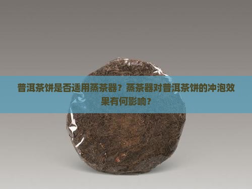 普洱茶饼是否适用蒸茶器？蒸茶器对普洱茶饼的冲泡效果有何影响？