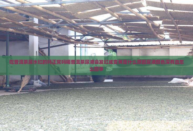 吃普洱茶尿水红的吗正常吗喝普洱茶尿液会发红或变黄是什么原因尿液颜色深有血怎么回事