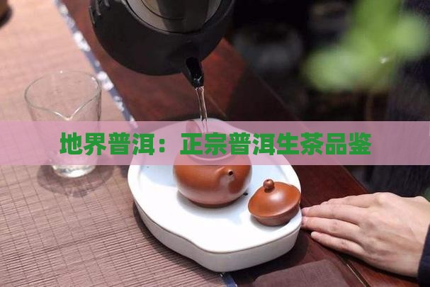 地界普洱:正宗普洱生茶品鉴 地界普洱:正宗普洱生茶品鉴