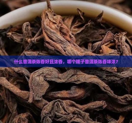 什么普洱茶陈香好且浓香，哪个牌子普洱茶陈香味浓？