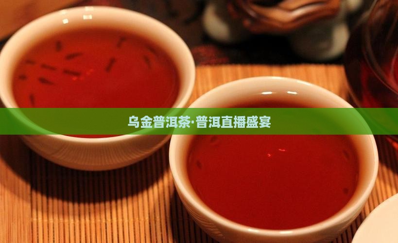乌金普洱茶·普洱直播盛宴