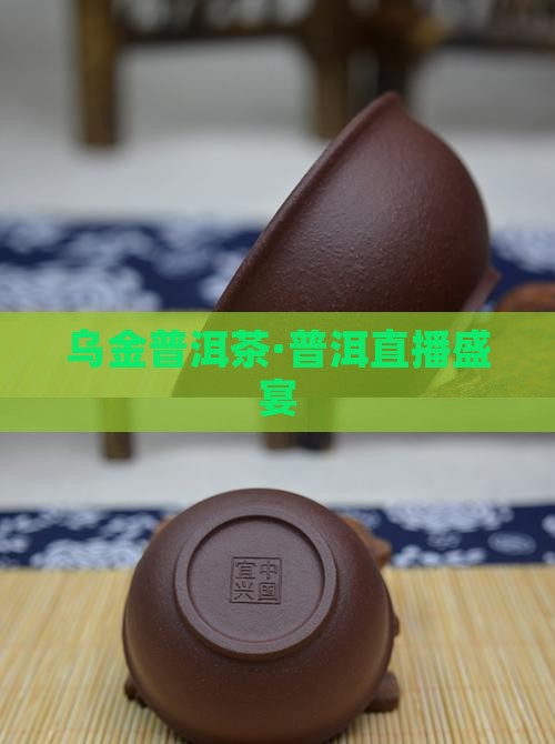乌金普洱茶·普洱直播盛宴