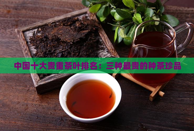 中国十大贵重茶叶排名：三种最贵的种茶珍品