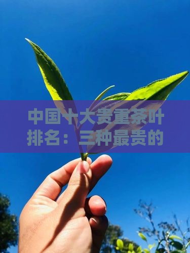 中国十大贵重茶叶排名：三种最贵的种茶珍品