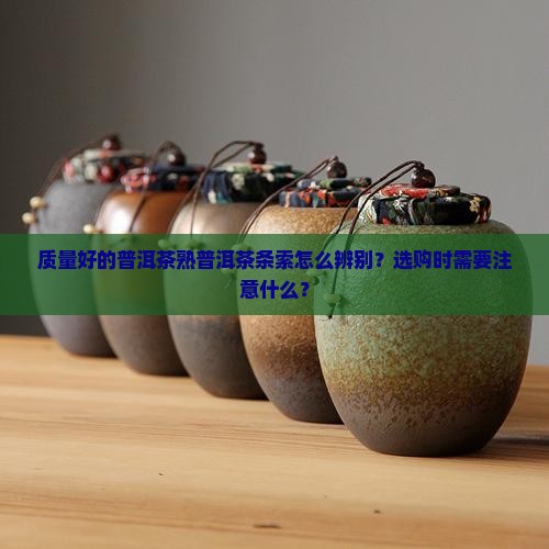 质量好的普洱茶熟普洱茶条索怎么辨别？选购时需要注意什么？